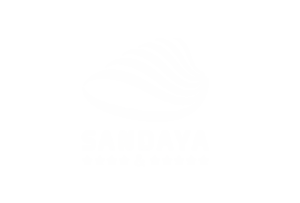 Logo Cible